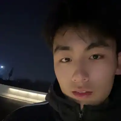 高磊